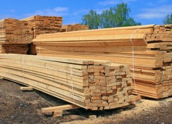 Žaganje, skobljanje in impregniranje lesa